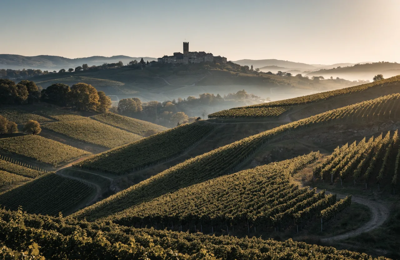 I borghi e i vigneti delle Langhe al tramonto